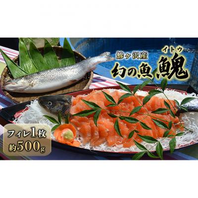 ふるさと納税 鰺ヶ沢町 鰺ヶ沢産[幻の魚イトウ]フィレ1枚 約500g