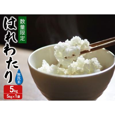 ふるさと納税 鰺ヶ沢町 令和7年産 はれわたり 無洗米 5kg 1袋 