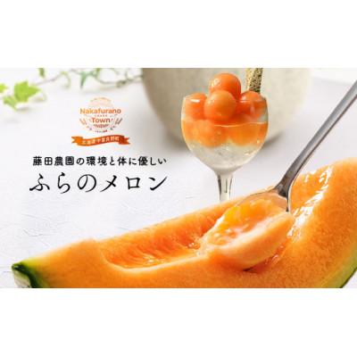 ふるさと納税 中富良野町 AO-004[2026年発送]藤田農園ふらのメロン(赤肉)2玉