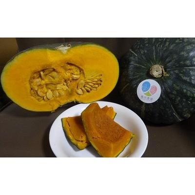 ふるさと納税 中富良野町 AO-006[2026年発送]中富良野町産カボチャ 10kg以上