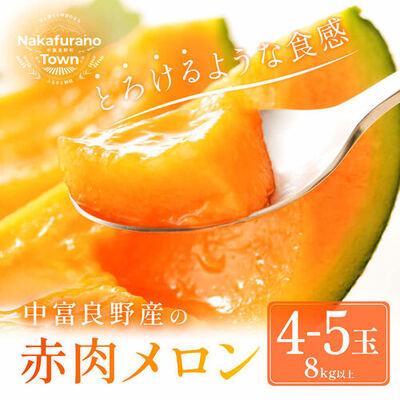 ふるさと納税 中富良野町 AB-004[2026年発送]中富良野 赤肉メロン 4〜5玉(8kg以上)