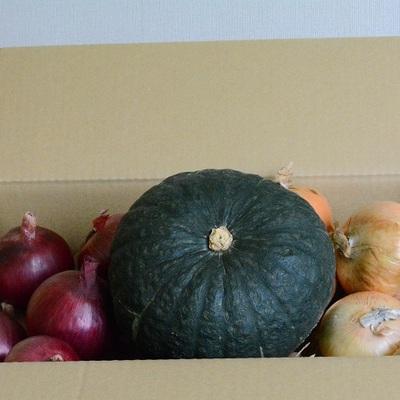 ふるさと納税 中富良野町 AD-004[セット]秋野菜セット(玉ねぎ8kg、紫玉ねぎ2kg、かぼちゃ1玉)