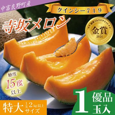 ふるさと納税 中富良野町 BF-001[2026年発送][中富良野町]寺坂メロン 1玉入り(赤肉特大)