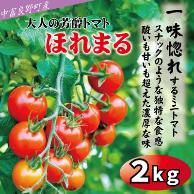 ふるさと納税 中富良野町 BF-005[2026年発送][中富良野町]寺坂農園ミニトマト ほれまる 2kg