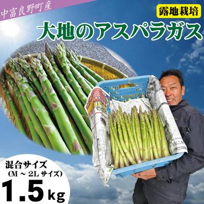 ふるさと納税 中富良野町 BF-016[2026年発送][中富良野町寺坂農園]大地のアスパラガス(1.5kg)