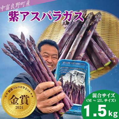 ふるさと納税 中富良野町 BF-018[2026年発送][中富良野町寺坂農園]紫アスパラガス(1.5kg)