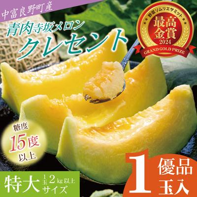 ふるさと納税 中富良野町 BF-027[2026年発送][中富良野町]寺坂メロン 1玉入り(青肉特大)