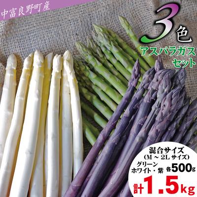 ふるさと納税 中富良野町 BF-035[2026年発送][中富良野町産]3色アスパラガスセット(1.5kg)