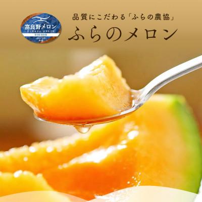 ふるさと納税 中富良野町 AC-017[2026年発送][秀品]富良野メロン 2玉(約1.6kg×2玉)