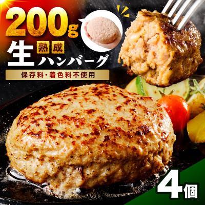 ふるさと納税 泉南市 [無添加]生熟成ハンバーグ(200g×4個)