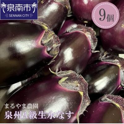 ふるさと納税 泉南市 まるやま農園 泉州 生 水なす 9個