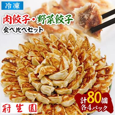 ふるさと納税 加須市 肉汁溢れる食べ比べ餃子セット(冷凍 肉・野菜餃子)80個(10個入×各4パック)