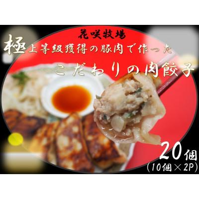 ふるさと納税 加須市 花咲牧場 極上等級獲得の豚肉で作ったこだわりの肉餃子20個(10個入×2パック)