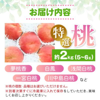 ふるさと納税 山梨市 【2026発送予定】農家直送朝どり桃!大きくて甘い特選桃5〜6玉入り山梨市産地直送約2kg箱の画像