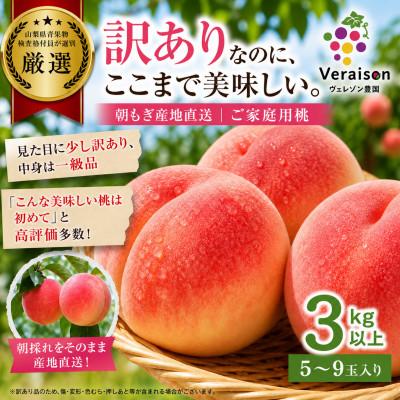 ふるさと納税 山梨市 【2026発送予定】訳ありなのに高評価|朝もぎ桃3kg以上(5〜9玉)農家直送・家庭用 | 