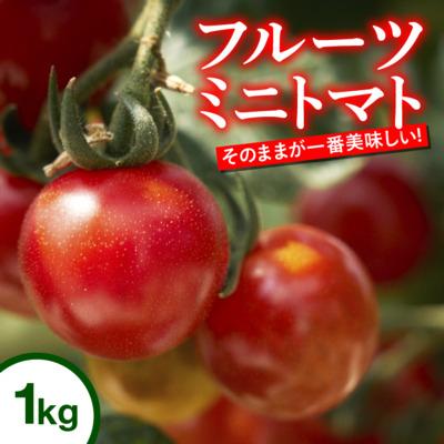 ふるさと納税 中土佐町 四万十川源流域で育まれた 絶品 フルーツミニトマト 1kg まちだ農園