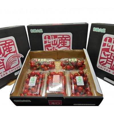 ふるさと納税 印南町 ミニトマト詰合せセット