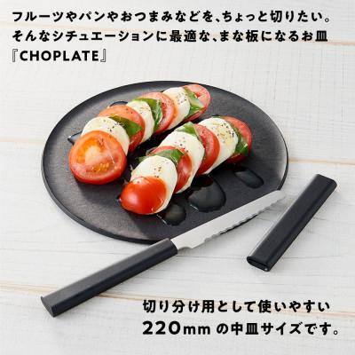 陶器製彫刻模様長方形　まな板皿 ふるさと納税 堺市 まな板になるお皿 CHOPLATE(チョップレート)220mm