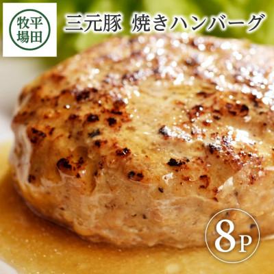 ふるさと納税 酒田市 【平田牧場】日本の米育ち◆三元豚焼きハンバーグ　8個 | 