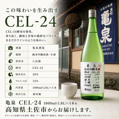 ふるさと納税 土佐市 純米吟醸 生原酒 CEL-24(セル24) 1800ml(1.8L)(生酒) 亀泉酒造の甘口な日本酒 |  | 03