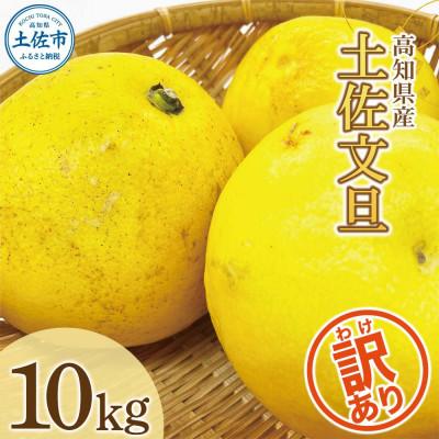 ふるさと納税 土佐市 [訳あり]土佐文旦 家庭用 (M〜5L混合サイズ) 約10kg
