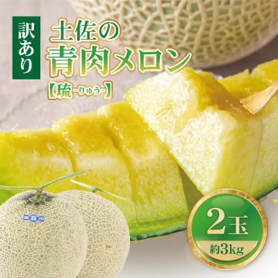 ふるさと納税 土佐市 [訳あり] 土佐の青肉メロン[琉] 2玉入 家庭用 合計約3kg以上