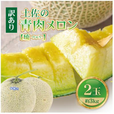 ふるさと納税 土佐市 [12月中旬より発送][訳あり]土佐の青肉メロン[琉]2玉入 家庭用