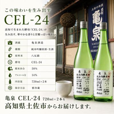 ふるさと納税 土佐市 純米吟醸 生原酒 CEL-24(セル24)720ml(生酒) 2本セット 亀泉酒造の甘口な日本酒 |  | 03