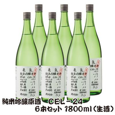 ふるさと納税 土佐市 純米吟醸 生原酒 CEL-24(セル24)1800ml(生酒) 6本セット 亀泉酒造の甘口
