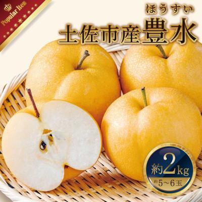 ふるさと納税 土佐市 高知県土佐市産 梨(豊水) 約2kg