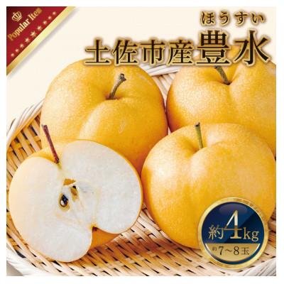 ふるさと納税 土佐市 高知県土佐市産 梨(豊水) 大玉 約4kg