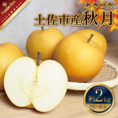 ふるさと納税 土佐市 高知県土佐市産 梨(秋月) 約2kg