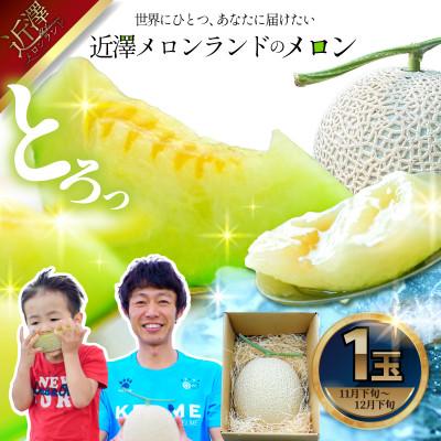 ふるさと納税 土佐市 [近澤メロンランド]2026年冬発送 青肉メロン 1玉入り (約1.4kg〜1.8kg)