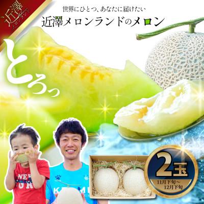 ふるさと納税 土佐市 [近澤メロンランド]2026年冬発送 青肉メロン2玉入り (1玉約1.4kg〜1.8kg)