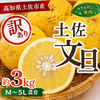 ふるさと納税 土佐市 訳あり 土佐文旦(ぶんたん) 家庭用(M〜5L混合サイズ) 約3kg