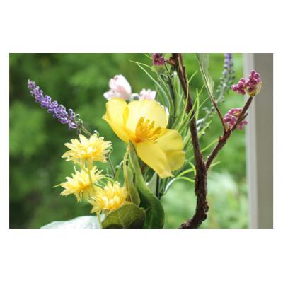 ふるさと納税 北上市 [空気をきれいにするアートフラワー]コケ玉