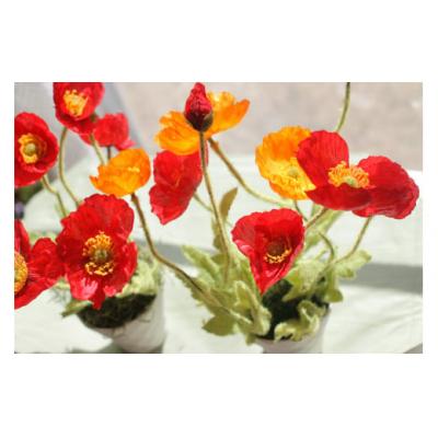 ふるさと納税 北上市 空気をキレイにするポピー 器付き