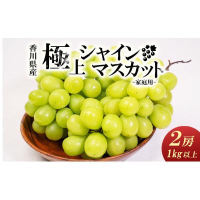 ふるさと納税 綾川町 家庭用シャインマスカット 2房入り 1kg以上 