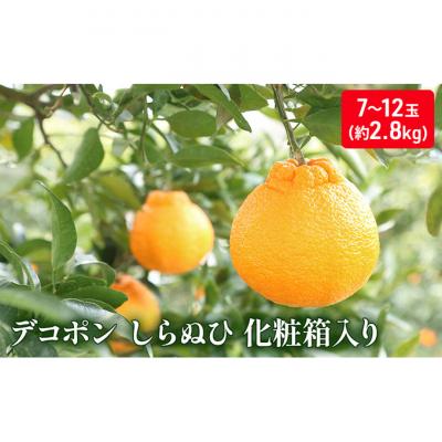ふるさと納税 綾川町 [2025年12月上旬より順次発送]ハウスデコポン(しらぬひ)化粧箱約2.8kg