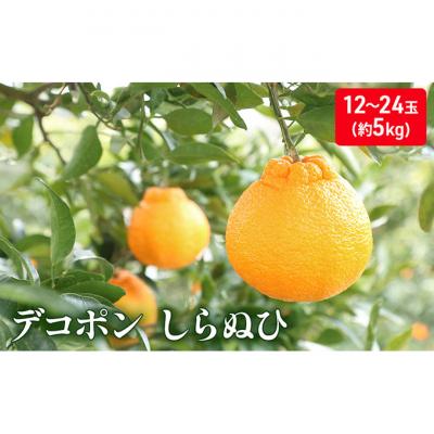 ふるさと納税 綾川町 [2026年2月下旬より順次発送]しらぬひ 約5kg デコポン 