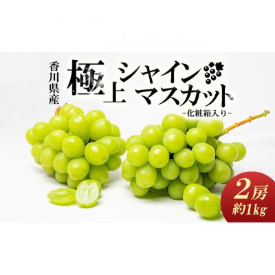 ふるさと納税 綾川町 綾川町産 極上シャインマスカット 2房(化粧箱入り)約1kg種なし 