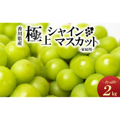 ふるさと納税 綾川町 綾川町産 シャインマスカット 約2kg
