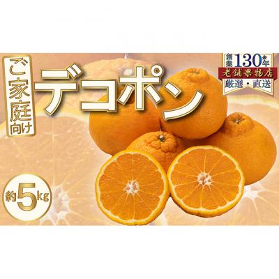 ふるさと納税 綾川町 ご家庭向け!濃厚甘味のぷりっぷり「デコポン」 約