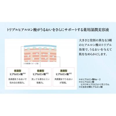 ふるさと納税 綾川町 ライスフォース プレミアムパーフェクト