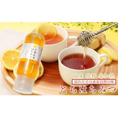 ふるさと納税 久慈市 「平庭高原はちみつ(とち)200gチューブ入り」国産 純粋 非加熱 無加糖 無添加 はちみつ