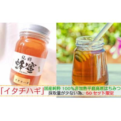 ふるさと納税 久慈市 [希少]「はちみつ イタチハギ 300g」国産 純粋 非加熱 無加糖 無添加 はちみつ