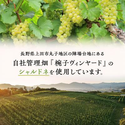 ふるさと納税 上田市 ワイン 椀子シャルドネ 750ml シャトー・メルシャン シャルドネ 白ワイン[54040407] |  | 02