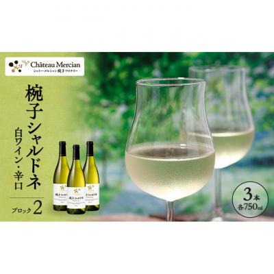 ふるさと納税 上田市 椀子シャルドネ ブロック2 750ml 3本 椀子限定品 