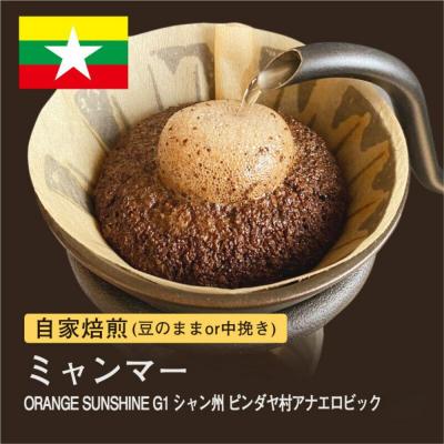 ふるさと納税 堺市 [粉]#180 ミャンマー ORANGE SUNSHINEG1 コーヒー豆 310g