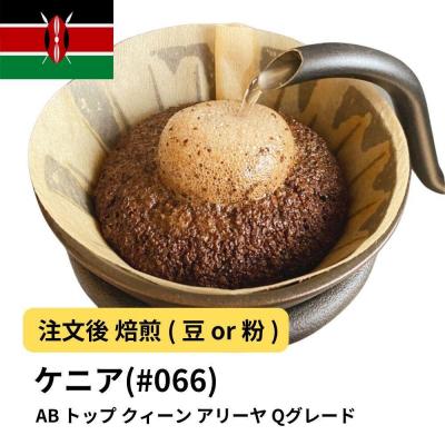 ふるさと納税 堺市 [豆]コーヒー #066 ケニア AB トップ クィーン アリーヤ Qグレード 310g